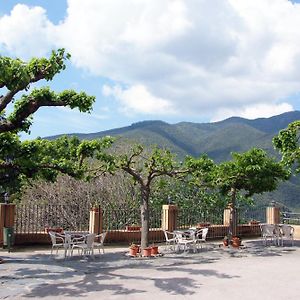 Hostal Montserrat